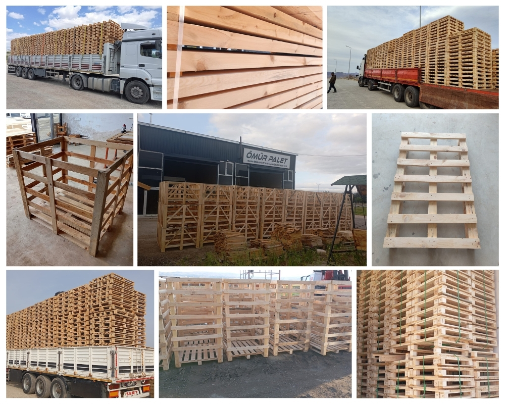Layer de la Haye Wooden Pallets, Buy Wooden Pallets Wholesale